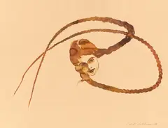 Ohne Titel by Cornelia Schleime, 1996, Tuschfeder in Braun und Aquarell auf bräunlichem Papier, sold May 2022