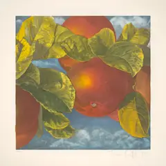 Äpfel by Karin Kneffel, 1996, Offset auf Papier, aquarelliert, sold Oct 2021