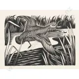 Grey Duck by Ernest Mervyn Taylor, sold Oct 2026