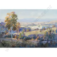 Evening Shadows - Rangitikei Valley by Ion Brown, sold Oct 2026