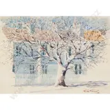 Lime Tree - Paddington - Sydney by G A Genet, sold Oct 2026