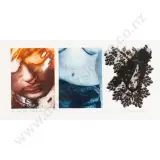 Body Veil - Face/Lace by Carole M Shephard, sold Oct 2026