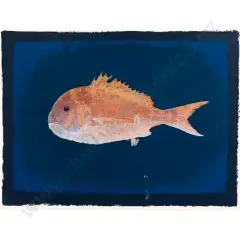 Snapper by Tom Burnett, sold Oct 2026