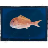 Snapper by Tom Burnett, sold Oct 2026