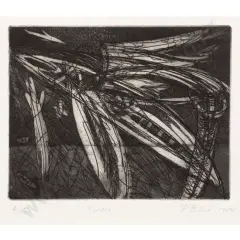 Volo (Unframed) by Philippa Blair, sold Oct 2026