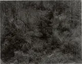 Aix-en-Provence, France by Harry Callahan, 1957, Vintage oder früher Silbergelatineabzug, sold Mar 2026