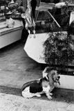 Saint Tropez by Elliott Erwitt, 1979, Späterer Silbergelatineabzug, sold Nov 2016