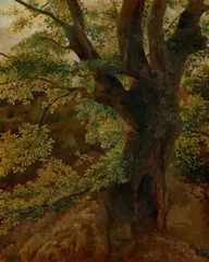 Baumstudie by Deutsch, um 1840, Öl auf Papier, auf Leinwand aufgezogen, sold Dec 2021