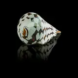 Glass Shell by Lino Tagliapietra and Marina Angelin, Italy, sold Sep 2017