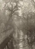 Čertovka-Kanal bei Kampa-Insel, Prag. Aus dem Zyklus „Notizen by Josef Sudek, 1958, Vintage. Silbergelatine-Kontaktabzug, sold Nov 2019
