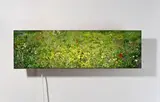 SPRING No. 3 by Hiroyuki Masuyama, 2003, Leuchtkasten, sold Dec 2017