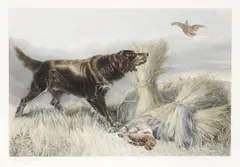 A setter and two grouse by John Cother Webb, offered Jan 2015