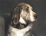 Portrait of a dog by William Henry Simmons, coloured engraving, sold Jan 2015