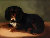 A King Charles Spaniel by English School, oil on canvas, sold Jan 2015