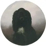 A Cavalier King Charles Spaniel by English School, oil on canvas, sold Jan 2015