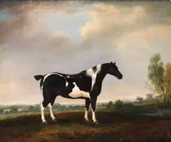 A piebald cob in a landscape by Thomas Weaver, oil on canvas, sold Jan 2015