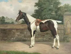 A piebald pony by John Crane, oil on canvas, sold Jan 2015