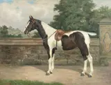 A piebald pony by John Crane, oil on canvas, sold Jan 2015