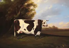 A prize longhorn cow by English School, oil on panel, sold Jan 2015