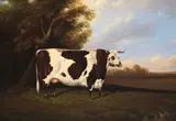 A prize longhorn cow by English School, oil on panel, sold Jan 2015