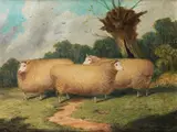 Lincoln Ewes by Richard Whitford, oil on canvas, sold Jan 2015
