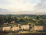 Sheep in a landscape by English School, oil on canvas, sold Jan 2015