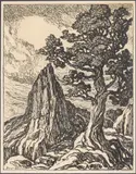 Cedar and Sentinel Rock by Birger Sandzén, Lithograph, sold Feb 2026