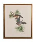 Mourning Dove by Athos Menaboni, 1962, lithograph on paper, sold Jan 2024