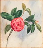 Camelia by Christopher Murphy Jr., Watercolor, sold Jun 2026