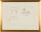Study of Horses by Paul Goadby Stone, Graphite on Paper, sold Feb 2026