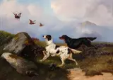At the ready - two setters putting up grouse by Colin Graeme Roe, oil on canvas, sold Nov 2014