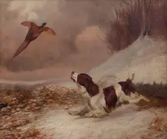 Spaniel and pheasant by Colin Graeme Roe, oil on canvas, sold Nov 2014