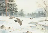 Against the snow, Capercaille by John Cyril Harrison, watercolour heightened with bodycolour, sold Nov 2014
