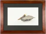 Resting Pelican by Katie Lee, Gouache on Paper, sold Oct 2025