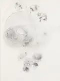 Study by Dale Chihuly, Graphite on Paper, sold Jun 2025