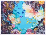 Painted Reef by Jonna White, Lithograph, sold Jun 2025