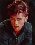 Maxwell Caulfield, 1981. Cibachrome by Greg Gorman, photograph, offered Sep 2026