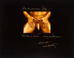 Jeff Koons' Penis by Annie Leibovitz, 1990, Chromogenic print, offered Sep 2026