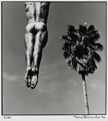 Nude Study (Jump and Palm Tree) by Tom Bianchi, 1992, Gelatin silver print. 7/50, offered Aug 2026