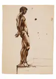 Untitled (Male Nude Pissing) by Robert Burns Gable, Pen and ink wash on paper. Circa 1960s, offered Apr 2026