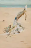 Driftwood and Sea Grass by Florence Leif, Oil on canvas, offered Mar 2026