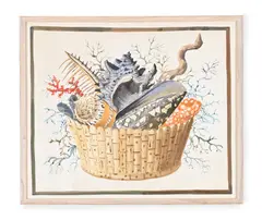 Shells and coral in a basket by George Oakes, Watercolour heightened with touches of bodycolour, sold Oct 2026