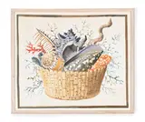 Shells and coral in a basket by George Oakes, Watercolour heightened with touches of bodycolour, sold Oct 2026