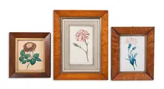 Scarlet bizarre carnation, and two watercolours by James Sowerby, print (other), sold Oct 2026