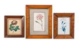 Scarlet bizarre carnation, and two watercolours by James Sowerby, print (other), sold Oct 2026