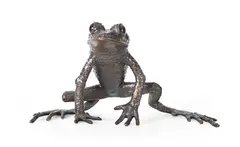 Golden toad ii by Sue White-oakes, 2009, Patinated bronze, bloodstone eyes, sold Oct 2026