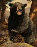 Black Bear by Doug Bane, 1985, Oil on canvas, sold Aug 2025