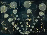 Lights by Katherine Bradford, 1994, Oil on canvas, sold Aug 2024