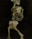 Skeleton (Self Portrait) by Donald Traver, 2014, Oil on canvasboard, offered Aug 2024
