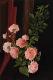 Carnations by Stow Wengenroth, Watercolor on paper, offered Aug 2022